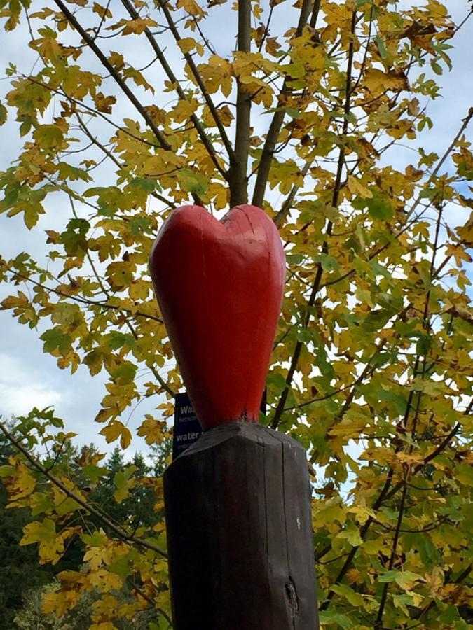 Seeblickapp. „Eure Auszeit“ Goslar Esterno foto
